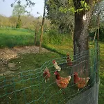 Il Casale Alloggio in famiglia Giássico