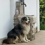 Il Casale Alloggio in famiglia Giássico