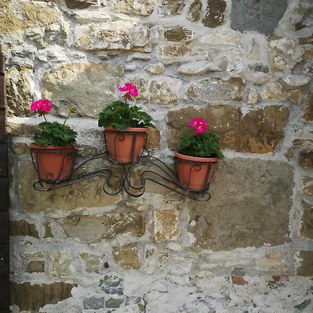 Homestay Il Casale