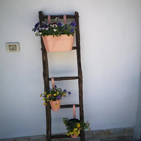 ホームステイ Il Casale Giássico