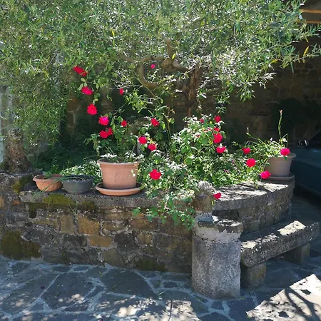 Il Casale