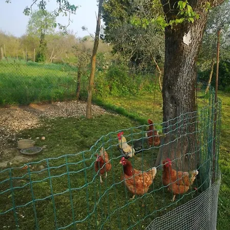 Il Casale Accommodatie bij particulieren Giássico