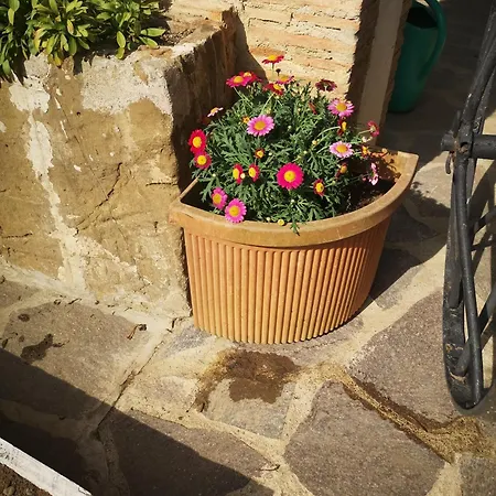 ホームステイ Il Casale *