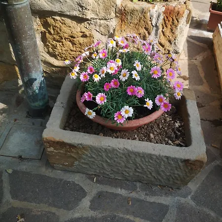 Il Casale * Giassico