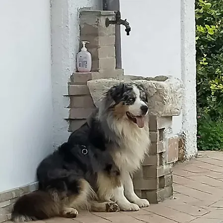 Il Casale ホームステイ Giássico